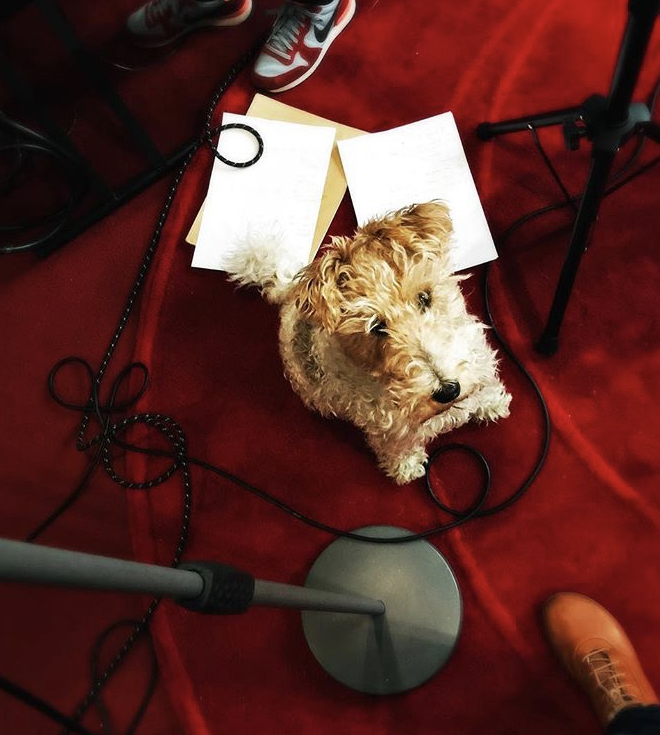 Au 615 même les animaux sont musiciens